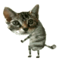 circle cat